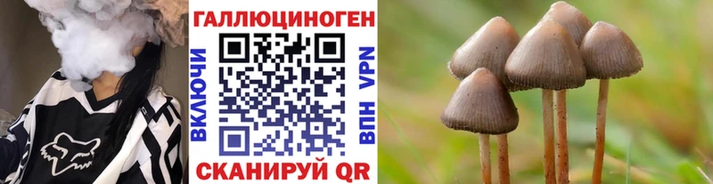 Купить закладки Нефтеюганск Псилоцибиновые грибы Psilocybe